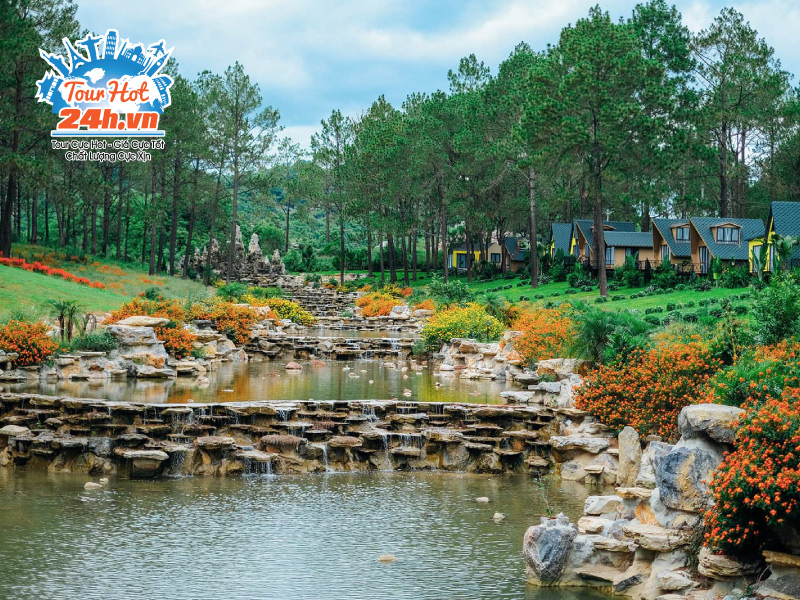 canh-dep-rung-thong-ban-ang