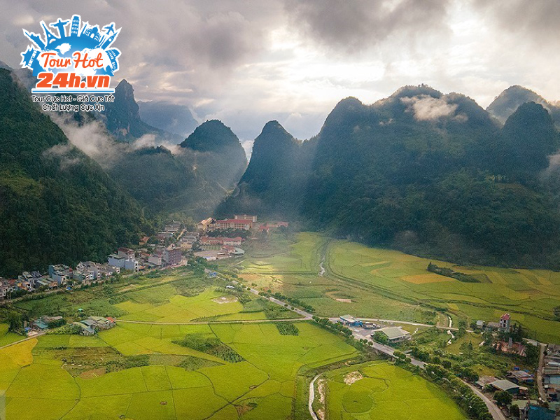 canh-dong-muong-thanh-co-gi