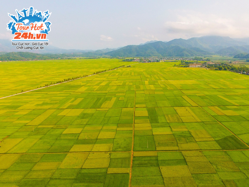 canh-dong-muong-thanh-dien-bien-1