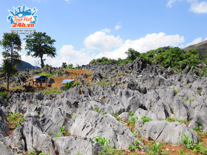 cao-nguyen-da-tua-chua-o-dau