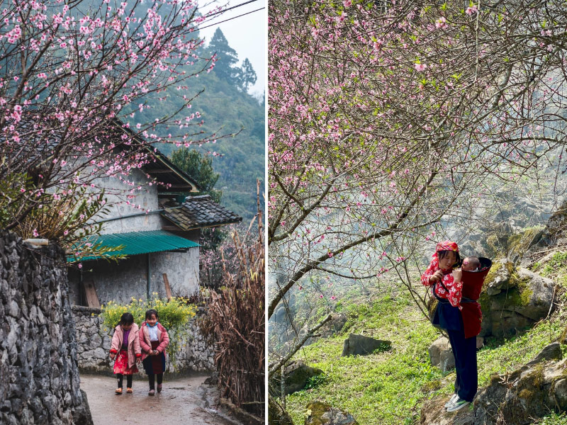 diem-den-ha-giang-mua-xuan