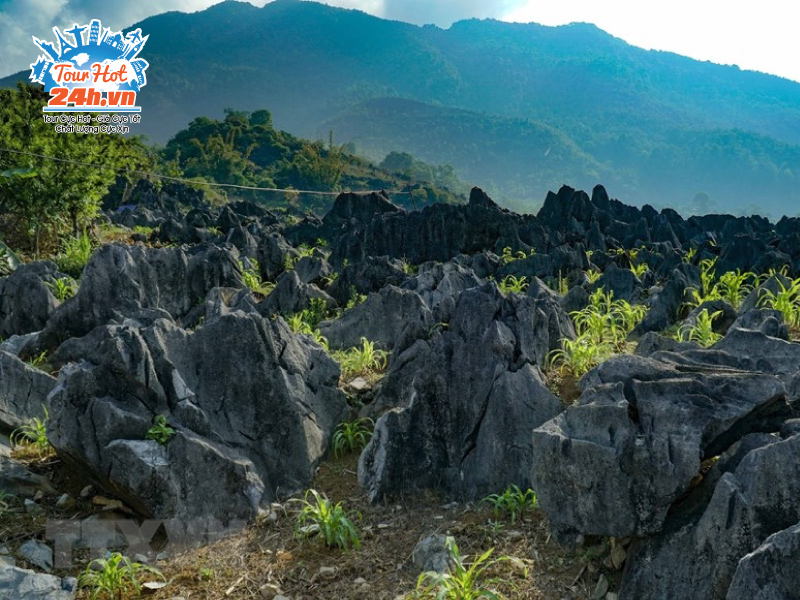 kham-pha-cao-nguyen-da-tua-chua