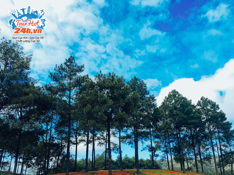 kham-pha-rung-thong-ban-ang