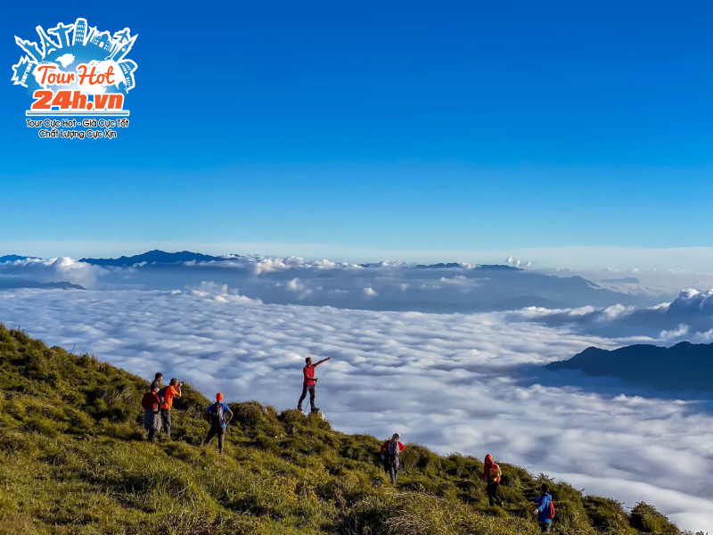 khung-canh-tu-lung-cung