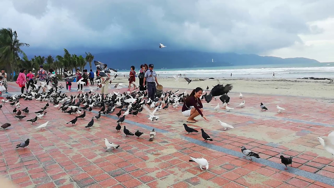 Cẩm nang du lịch Đà Nẵng