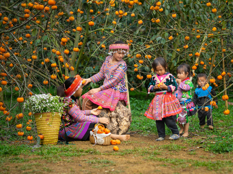 moc-chau-thang-12-mua-hong