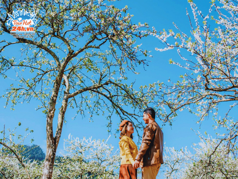 mua-hoa-ban-dien-bien-diem-tham-quan-mien-bac-thang-3-1