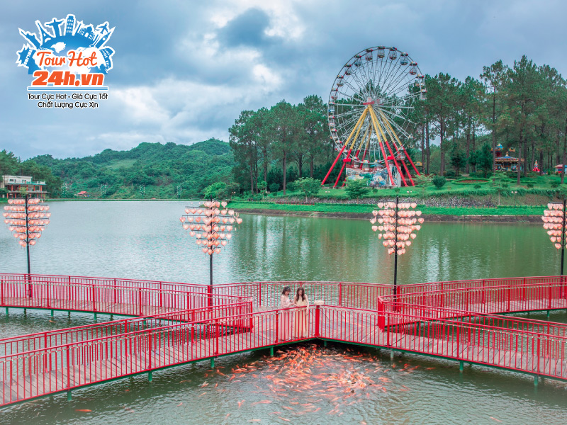 rung-thong-ban-ang-o-dau