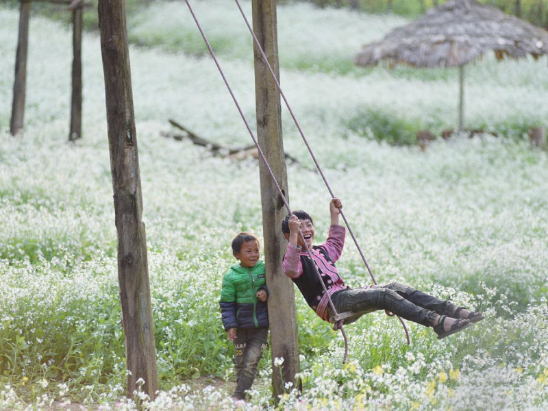 trai-nghiem-mua-hoa-cai-moc-chau-thang-12