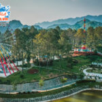 Khám phá rừng thông Bản Áng – Mảng xanh yên bình giữa núi rừng Tây Bắc