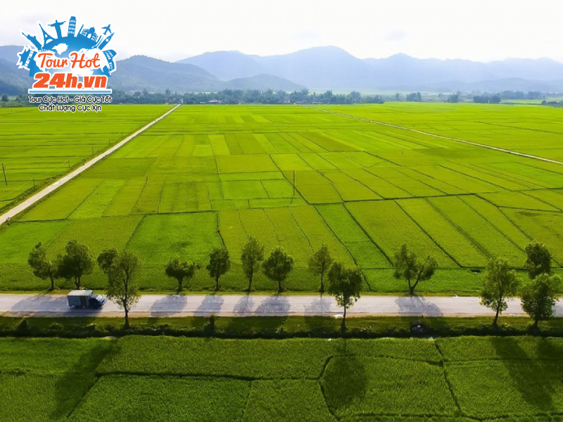 ve-dep-canh-dong-muong-thanh