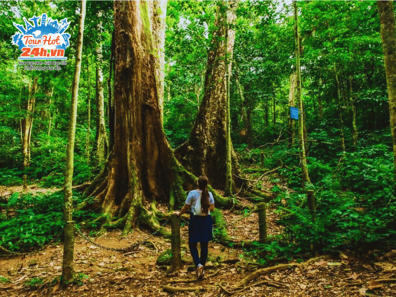 nhung-luu-y-khi-ghe-tham-vuon-quoc-gia-cuc-phuong