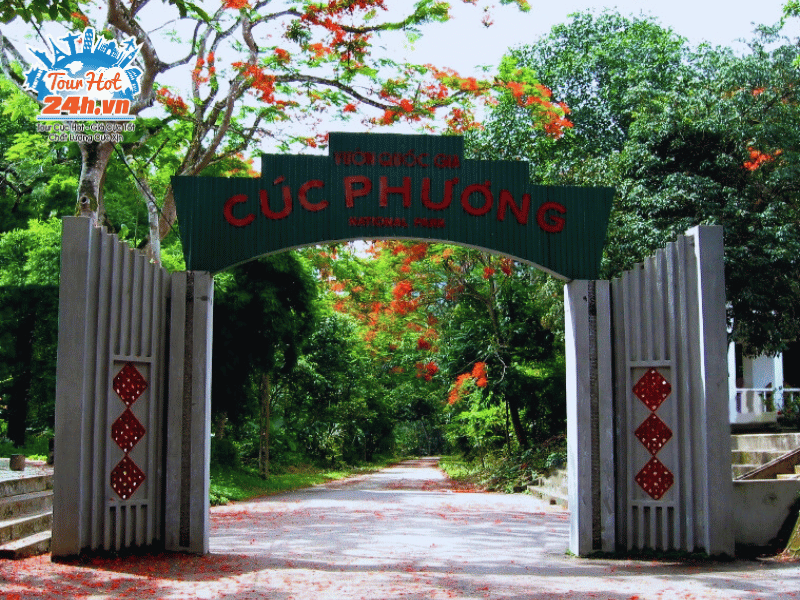 vuon-quoc-gia-cuc-phuong