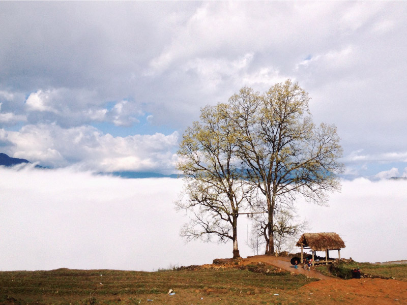 y-ty-diem-san-may-mien-bac