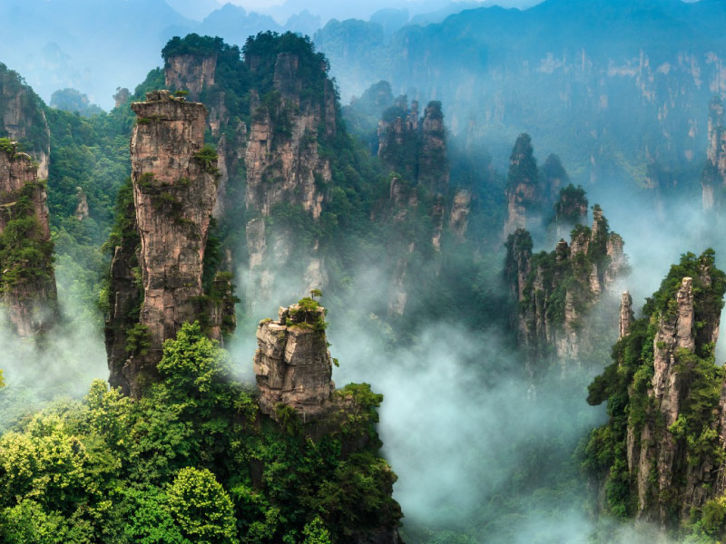 truong-gia-gioi-du-lich-trung-quoc-mua-he-di-dau